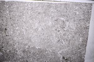 Plane Polarized, E52757