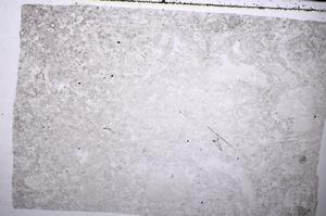 Plane Polarized, E52761