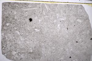 Plane Polarized, E52762