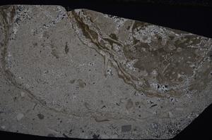 Cross Polarized, E52782