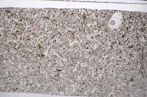 Plane Polarized, E52783