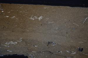 Cross Polarized, E52850