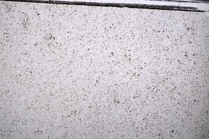 Plane Polarized, E52853