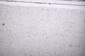 Plane Polarized, E52855