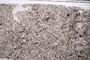 Plane Polarized, E52856