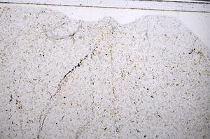 Plane Polarized, E52857