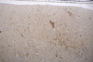 Plane Polarized, E52859