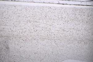 Plane Polarized, E52870