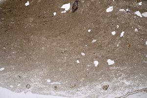 Plane Polarized, E52881