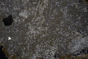 Cross Polarized, E52882