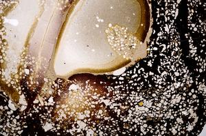 Plane Polarized, E52883/A