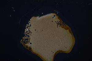 Cross Polarized, E52883/B