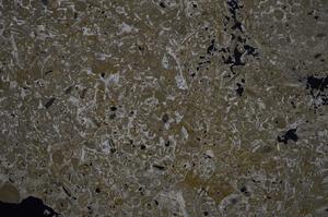 Cross Polarized, E52885