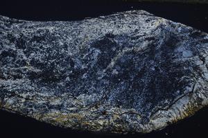 Cross Polarized, E52942/A