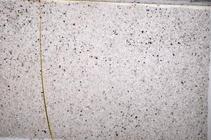 Plane Polarized, E52948