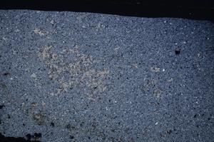 Cross Polarized, E52968