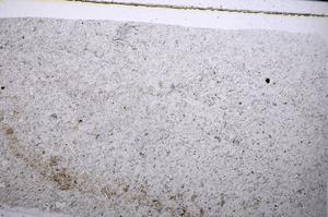 Plane Polarized, E52968