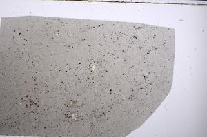 Plane Polarized, E53021