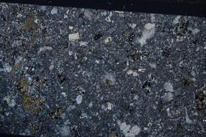 Cross Polarized, E53042