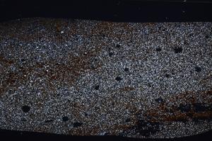 Cross Polarized, E53055