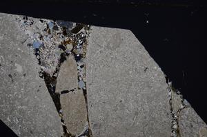 Cross Polarized, E53105