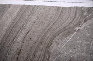 Plane Polarized, E53116