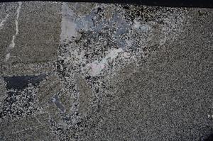 Cross Polarized, E53150