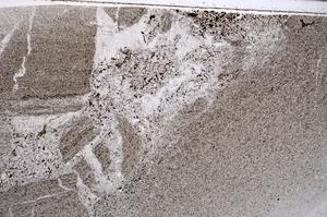 Plane Polarized, E53150