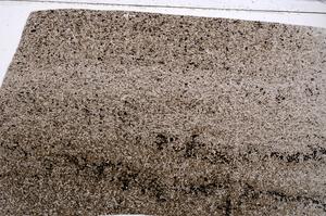 Plane Polarized, E53152