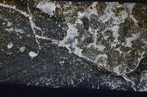 Cross Polarized, E53153