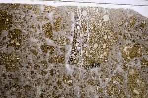 Plane Polarized, E53154