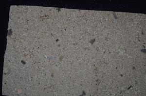 Cross Polarized, E53183