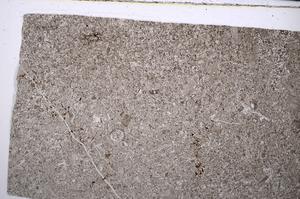 Plane Polarized, E53183