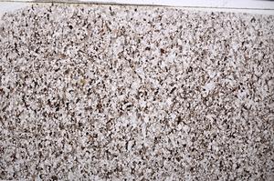 Plane Polarized, E53206