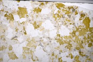 Plane Polarized, E53260/A