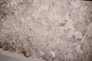 Plane Polarized, E53260/B