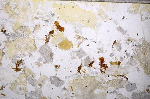 Plane Polarized, E53264