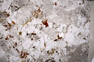 Plane Polarized, E53267/C