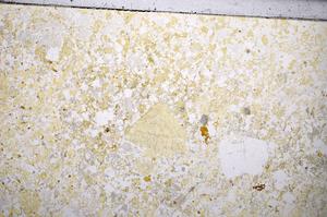 Plane Polarized, E53268/A