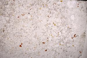 Plane Polarized, E53268/B