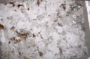 Plane Polarized, E53271/B