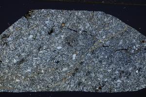 Cross Polarized, E53295/A