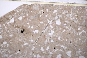 Plane Polarized, E53304