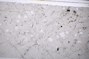 Plane Polarized, E53356