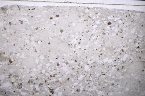 Plane Polarized, E53365