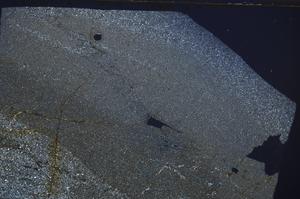 Cross Polarized, E53419/A