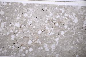 Plane Polarized, E53428