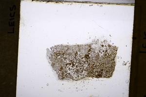 Plane Polarized, E53468/B