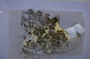 Cross Polarized, E53485