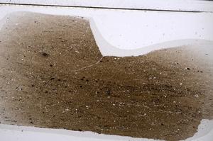 Plane Polarized, E53506